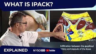 What is Ipack? - Regional anesthesia Crash course with Dr. Hadzic