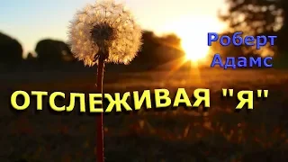 Отслеживая `я` [Р. Адамс, озв. Никошо]