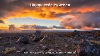 Найди себе Учителя