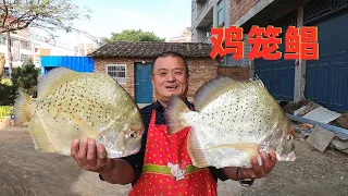 580买12斤鸡笼鲳，铁锅炖大鱼才叫香，农村十几人吃嗨了！
