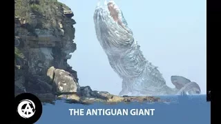 "The Antiguan Giant" - Creepypasta