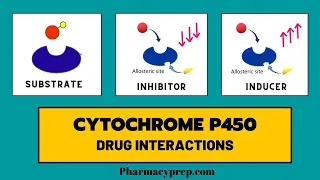 Cytochrome P450 [Drug Interactions]