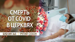 #151 Почему христиане умирали от COVID? - Алексей Осокин - Библия 365 (3 сезон)