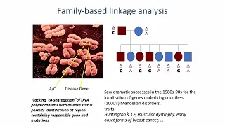 (2022) MCB 182 Lecture 9 - Human genetics