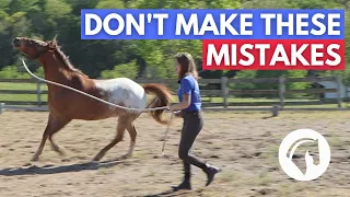 HORSE LUNGING MISTAKES - 5 WORST MISTAKES