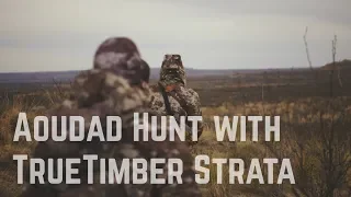 TrueTimber Strata Camouflage Dominates During West Texas Aoudad Hunt