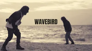 Nick Eyra - Wavebird (Official Music Video) [Copyright Free]