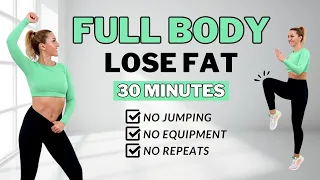 🔥30 Min Full Body Fat Burn HIIT (NO JUMPING)🔥Ab, Core, Arm, Back, Leg, Thigh & Cardio🔥ALL STANDING🔥