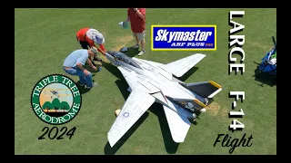 Joe Nall 2024 - Skymaster Large F14 Flight