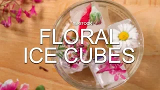 How To Make Decorative Floral Ice Cubes for Summer Drinks