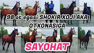 98 ot egasi QOʻQONDAN SHOKIR HOJI AKA OTXONASIGA SAYOHAT. 07.08.2023