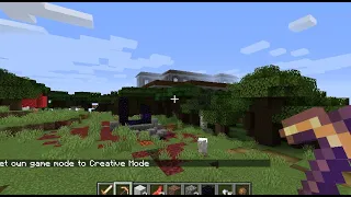 Best Minecraft Seed! Woodland Mansion, village, ruined portal! 1 16 4