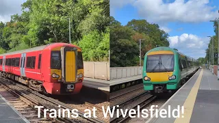 Trains At Wivelsfield!