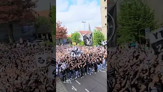 SSV Ulm Aufstieg Fans Geben Gas