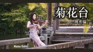 菊花台 - 周杰倫 小提琴 (Violin Cover by Momo) “你的淚光柔弱中帶傷，慘白的月彎彎勾住過往”