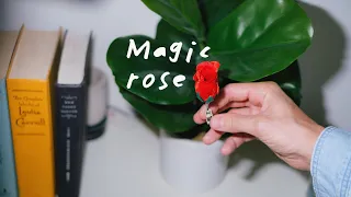 Magic Rose Fire Trick EXPLAINED