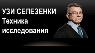 УЗИ селезенки: техника исследования