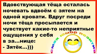 Вдовствующая тёща осталась ночевать с зятем на одной кровати?... Смех! Юмор! Позитив!!!