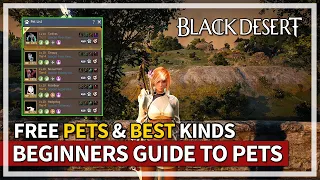 Beginners Guide to Pets & Best Types to Get | Black Desert