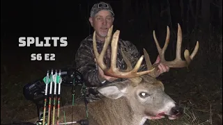 MONSTER Ohio Buck on Hind Legs in a Scrape at 25 Yards!!