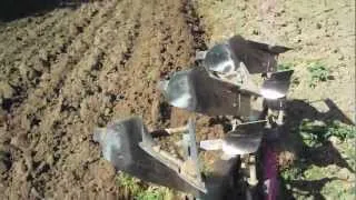 MF 590 ploughing with lemken RO series plough