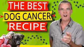 What To Feed A Dog With Cancer And No Appetite (Canine Cancer Diet Recipe)