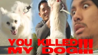 You Killed My Dog!!!