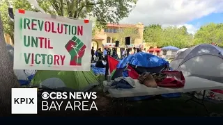 Pro-Palestinian protesters at Stanford confronted by Jewish parent