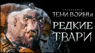 Middle-earth: Shadow of War - Самая удачная вендетта и самая неудачная селекция орков