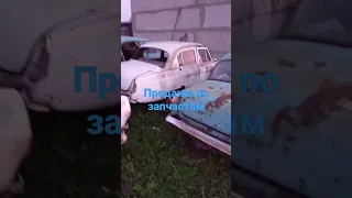 ВОЛГИ ГАЗ 21 разбор!