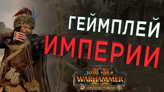 Геймплей Империи за Вульфхарта (Total War WARHAMMER 2 - The Hunter & The Beast на русском)