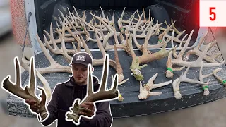 BIG 3 point, OLD Giant, Scissors Antler | Shed Hunting 2023 E5