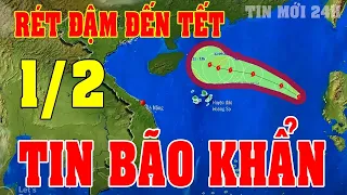 Dự báo thời tiết hôm nay mới nhất ngày 1/2| Dự báo thời tiết 3 ngày tới#thờitiết