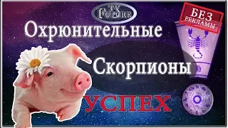 Успех! Гороскоп на 2019 год Скорпион