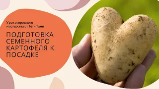 776. Подготовка семенного картофеля к посадке...