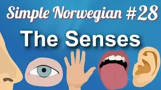 Simple Norwegian #28 - The Senses