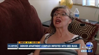 Bed bugs take over a Denver woman's apartment