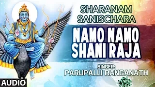 Namo Namo Shani Raja Song || Parupalli Ranganath || Sharanam Sanischara || Telugu Devotional Song