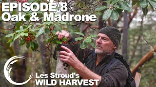 Survivorman | Les Stroud's Wild Harvest | Season 1 | Episode 8 | Oak & Madrone