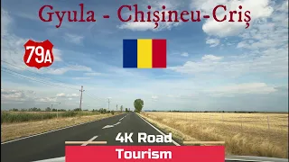 Driving Romania: DN79A Gyula - Chișineu-Criș - 4k relaxing drive West Romanian Plains