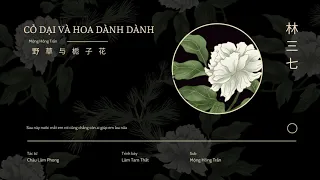 [VIETSUB] CỎ DẠI VÀ HOA DÀNH DÀNH - LÂM TAM THẤT ‖ 野草与栀子花 - 林三七