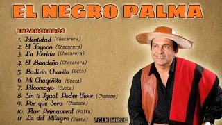 NEGRO PALMA MIX || solo éxitos 🎻