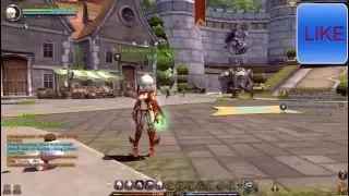 Dragon Nest - Tempest SKill Build lv90