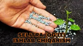 SELITRA (O'G'IT)  ISHLAB CHIQARISH