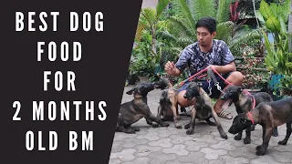 Vlog 177: Best Dog Food for 2 Months Belgian Malinois Puppy #dogs #papsnikstv