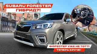 SUBARU FORESTER HYBRID - авто из ЯПОНИИ. Форестер гибрид Лучший кроссовер из Японии. АВТО ИЗ КОРЕИ?