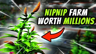 HUGE NipNip Bud Farm Worth Millions - No Man's Sky