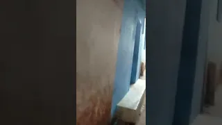 Kolkata randi bajar sonagachi ka video dekhen.  r_sonagachi.