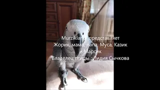 Жорик, мама, папа, Муса, Казик и Марсик