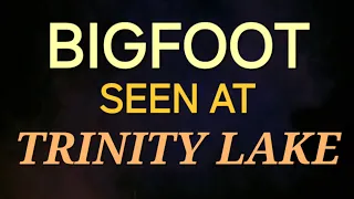 BIGFOOT SEEN AT TRINITY LAKE